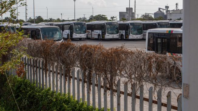 Transmetro tiene en estos momentos 110 buses en servicio